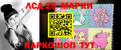 крисы Новокубанск