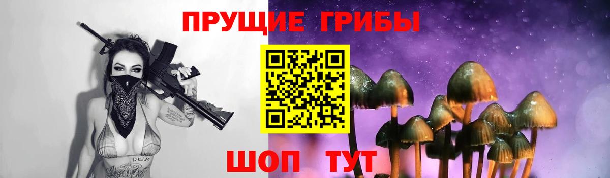 Галлюциногенные грибы ЛСД Сухой Лог